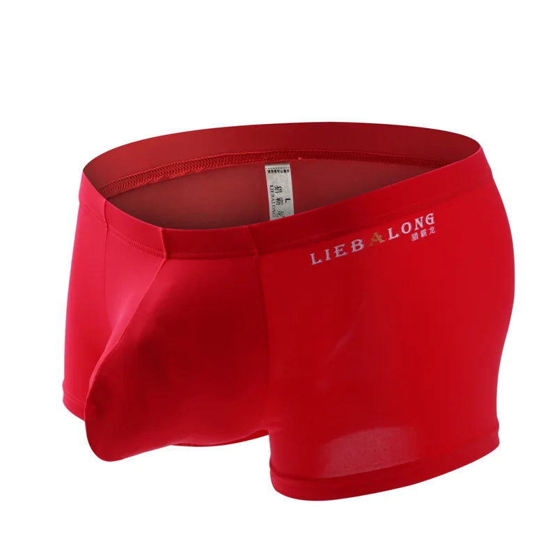 Mens Boxers Underwear Ice Silk Boxer Underpants Hombre U Convex Pouch Boxershorts Breathable Soft Boxer Briefs Jockstrap Panties