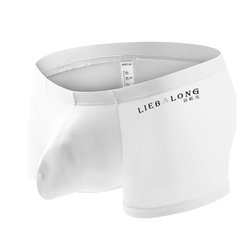 Mens Boxers Underwear Ice Silk Boxer Underpants Hombre U Convex Pouch Boxershorts Breathable Soft Boxer Briefs Jockstrap Panties