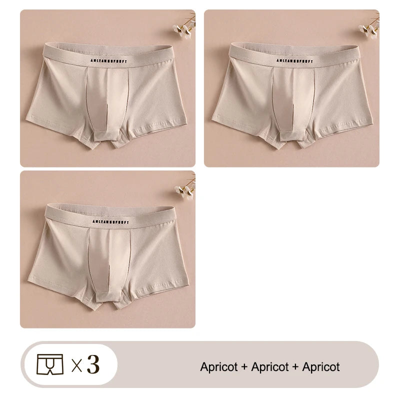 3PCS Sports Boxer Man Breathable Gift Sporty Boxers Men's Square Panties Sexy Men Unerderwear Underpants Briefs Shorts Underwear