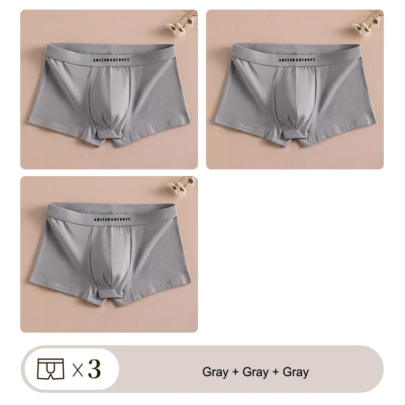 3PCS Sports Boxer Man Breathable Gift Sporty Boxers Men's Square Panties Sexy Men Unerderwear Underpants Briefs Shorts Underwear