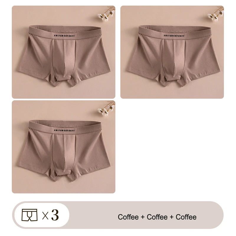 3PCS Sports Boxer Man Breathable Gift Sporty Boxers Men's Square Panties Sexy Men Unerderwear Underpants Briefs Shorts Underwear