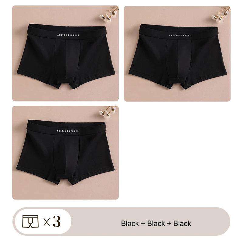 3PCS Sports Boxer Man Breathable Gift Sporty Boxers Men's Square Panties Sexy Men Unerderwear Underpants Briefs Shorts Underwear