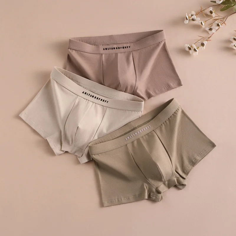 3PCS Sports Boxer Man Breathable Gift Sporty Boxers Men's Square Panties Sexy Men Unerderwear Underpants Briefs Shorts Underwear