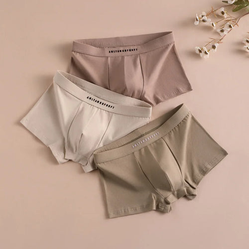 3PCS Sports Boxer Man Breathable Gift Sporty Boxers Men's Square Panties Sexy Men Unerderwear Underpants Briefs Shorts Underwear