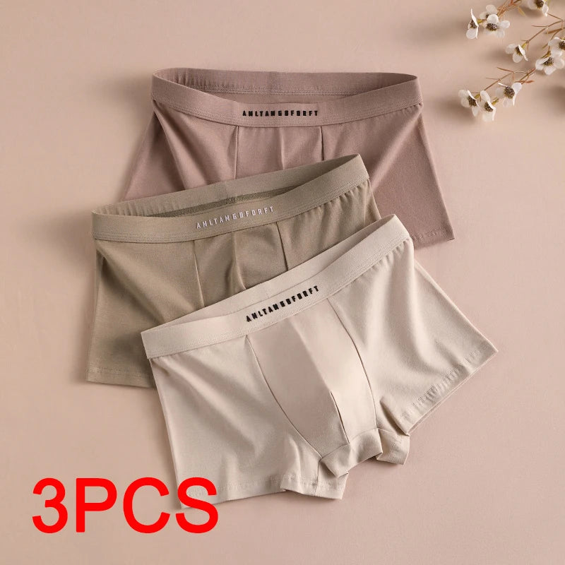 3PCS Sports Boxer Man Breathable Gift Sporty Boxers Men's Square Panties Sexy Men Unerderwear Underpants Briefs Shorts Underwear